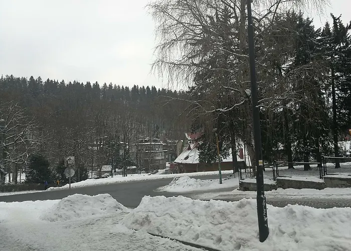 Apartament Parkowy